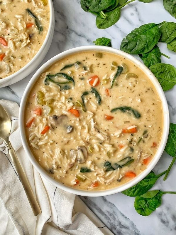 Leftover Turkey Orzo Soup: Storage Tips & Freezing Guide